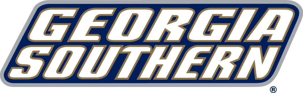 Georgia Southern Eagles 2004-Pres Wordmark Logo v4 iron on transfers for T-shirts